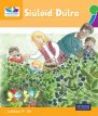 ◼️ Leibhéal 9 – Scéalta Órga - Pack of 5