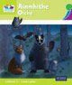 ■ Sona ag Léamh - Levelled Readers - Level 11 - Lime - Pack of 5 Books by CJ Fallon on Schoolbooks.ie