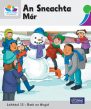 ◼️ Leibhéal 13 – Scéalta ar Dhath an Airgid - Pack of 5