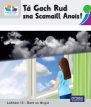 ◼️ Leibhéal 13 – Scéalta ar Dhath an Airgid - Pack of 5