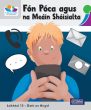 ◼️ Leibhéal 13 – Scéalta ar Dhath an Airgid - Pack of 5