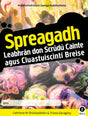 Spreagadh - Workbook Only by Gill Education on Schoolbooks.ie
