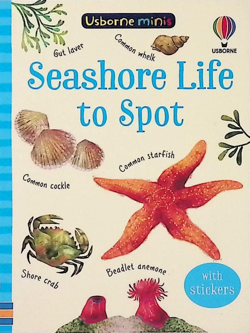 Seashore Life to Spot by Usborne Publishing Ltd on Schoolbooks.ie