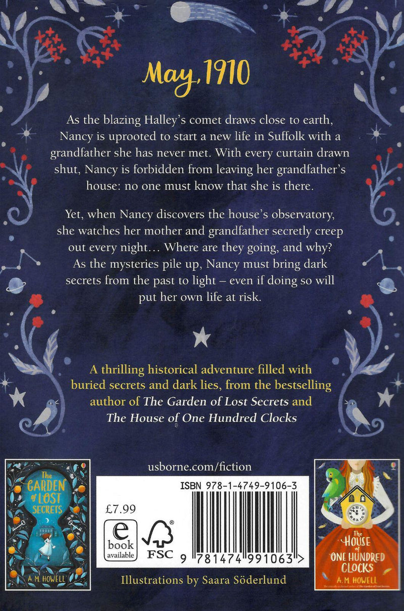 Mystery of the Night Watchers by Usborne Publishing Ltd on Schoolbooks.ie