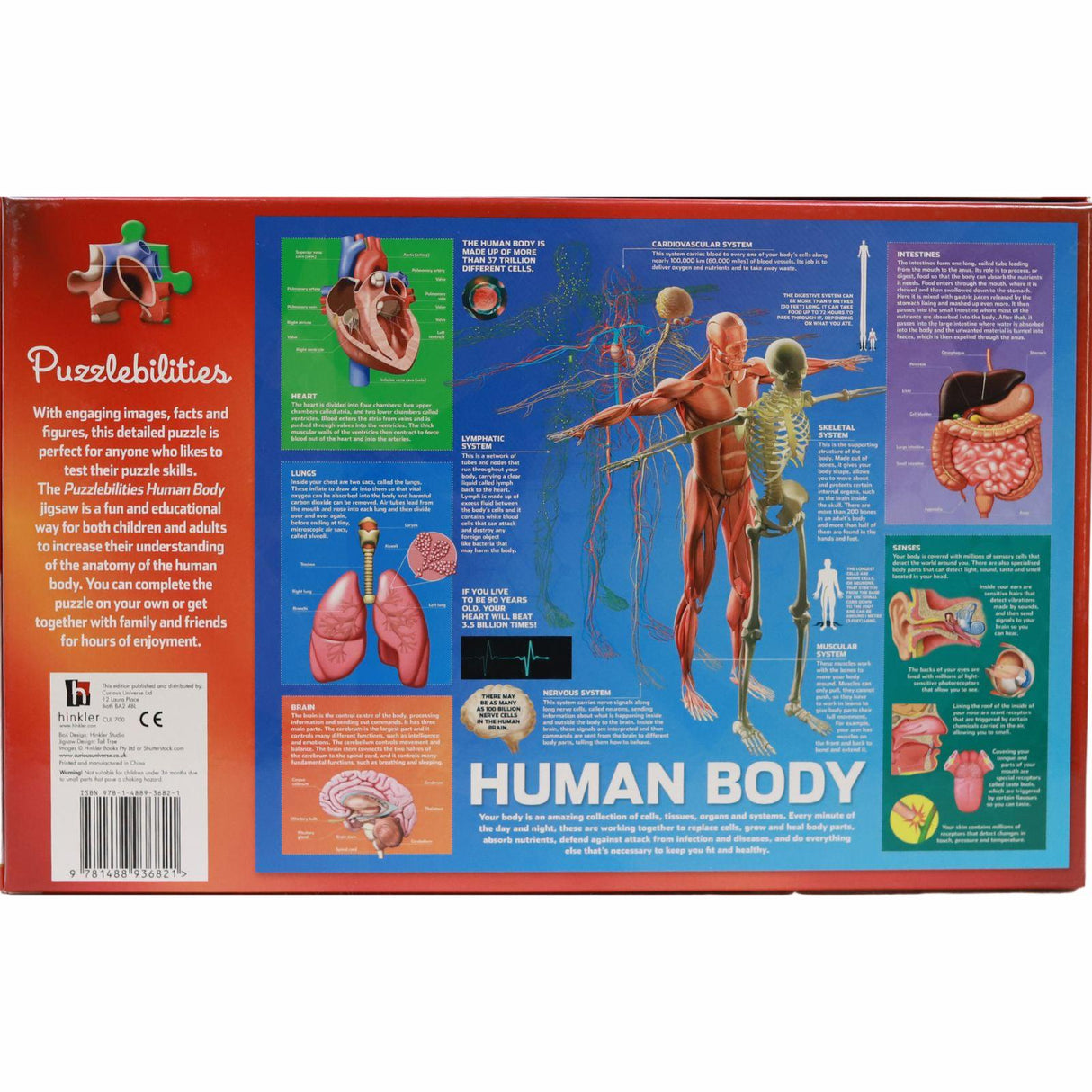 ■ 500 Piece Children's Jigsaw - Human Body by Hinkler on Schoolbooks.ie