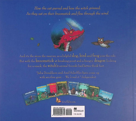 Room On The Broom by Pan Macmillan on Schoolbooks.ie