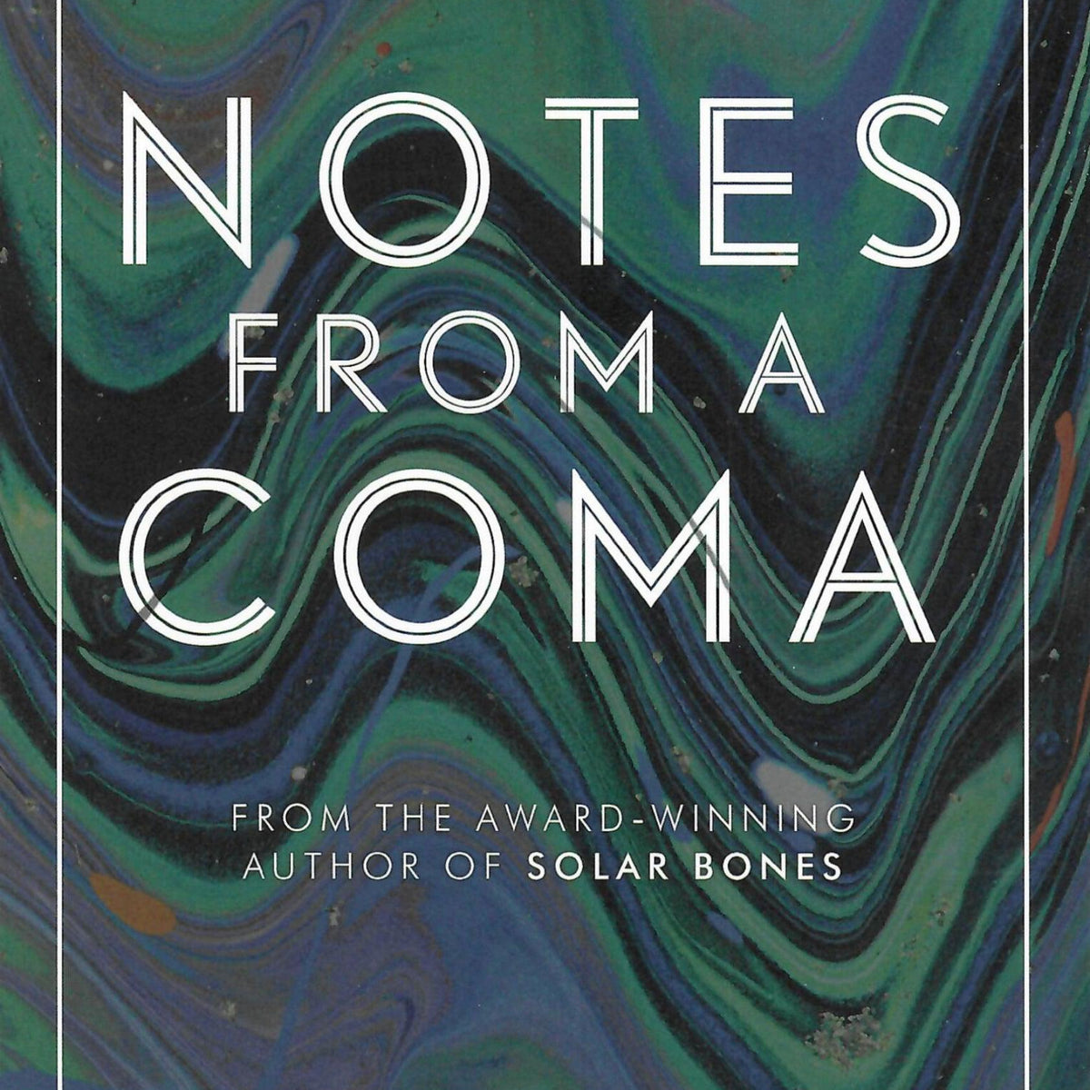 Notes From A Coma