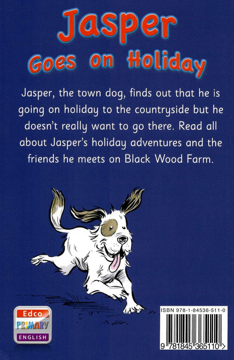 Big Box Adventures - Jasper Goes on Holiday - Novel by Edco on Schoolbooks.ie
