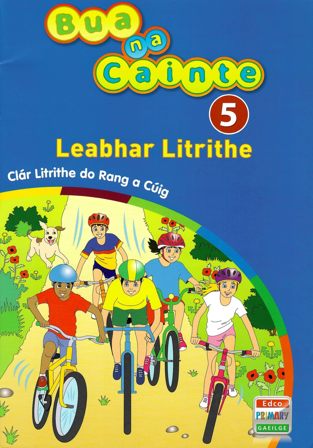 Bua na Cainte 5 - Leabhar Litrithe (Workbook Only)