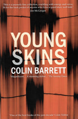 Young Skins by Stinging Fly Press on Schoolbooks.ie