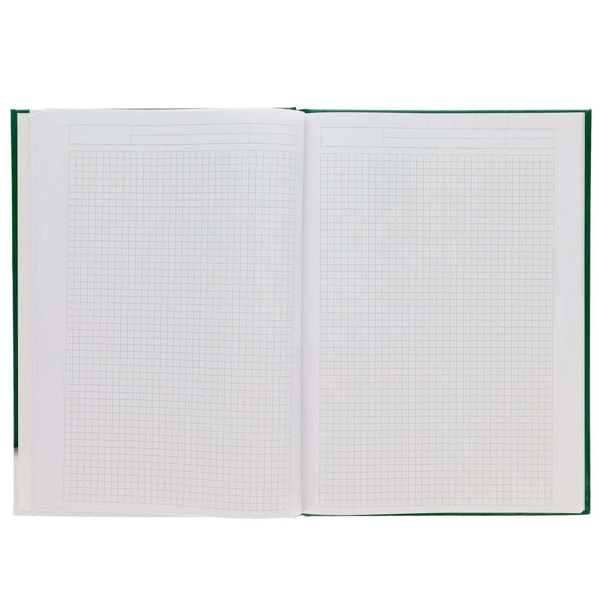 Ormond - Project Maths Book - Hardback - 5mm Square - A4 - 128 Page
