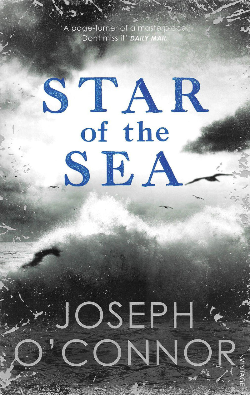 Star of the Sea by Vintage Publishing on Schoolbooks.ie
