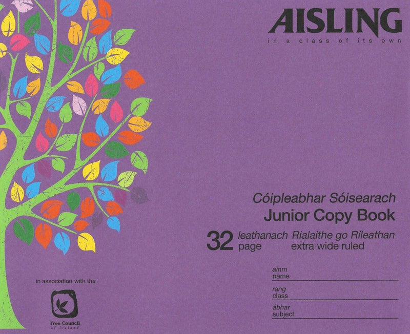 Aisling Learn to Write Copy B4 32 Page - ASXB4 by Aisling on Schoolbooks.ie