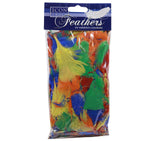 Icon Craft 18g Bag Feathers - Bold by Icon on Schoolbooks.ie