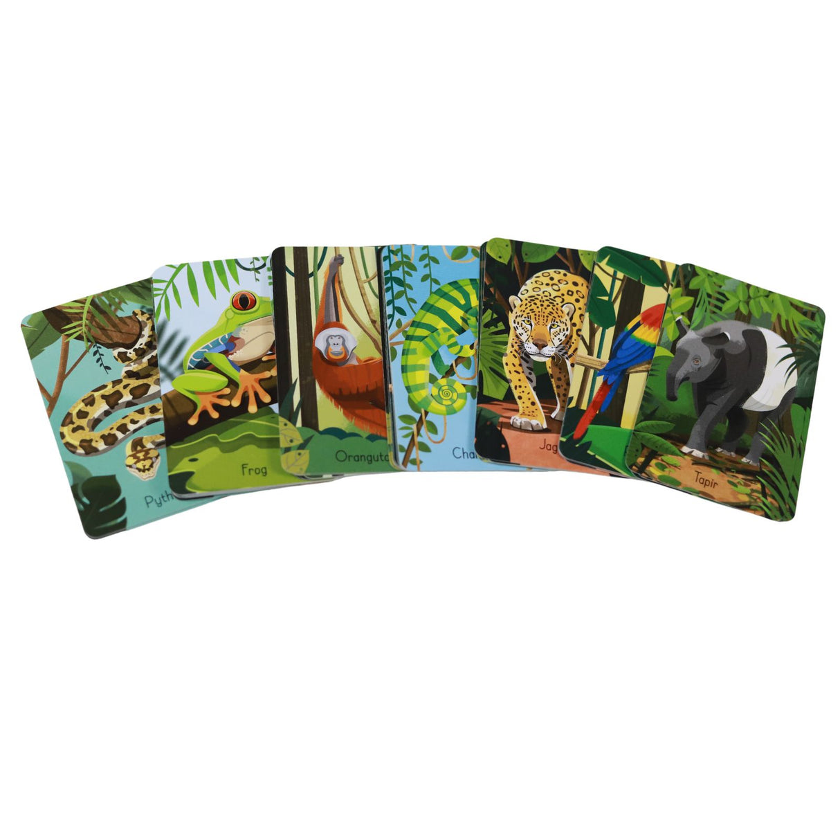 Jungle Snap by Usborne Publishing Ltd on Schoolbooks.ie