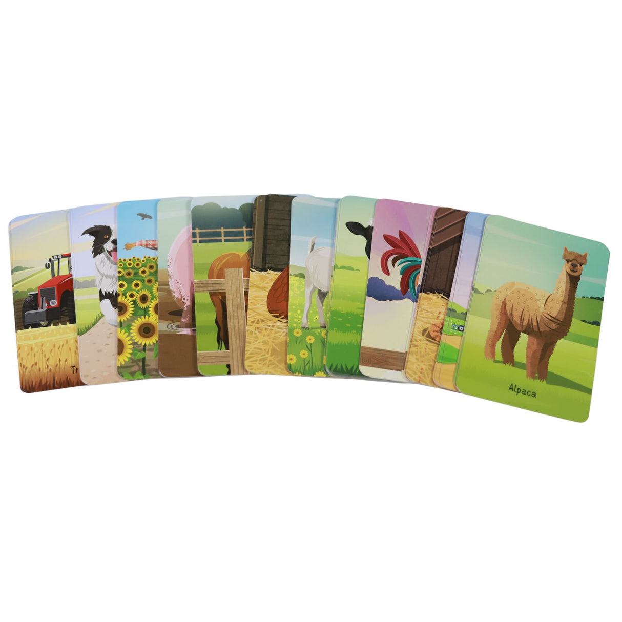 Farm Snap by Usborne Publishing Ltd on Schoolbooks.ie