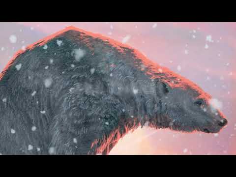 The Last Bear