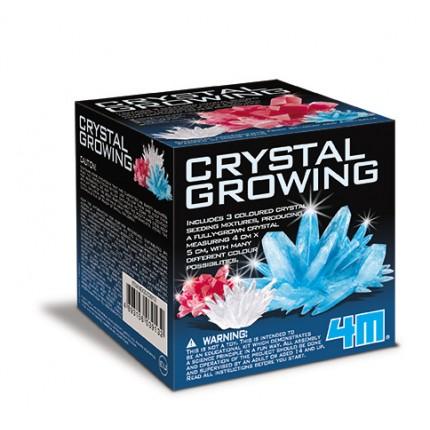 Crystal Growing Kit by 4M on Schoolbooks.ie