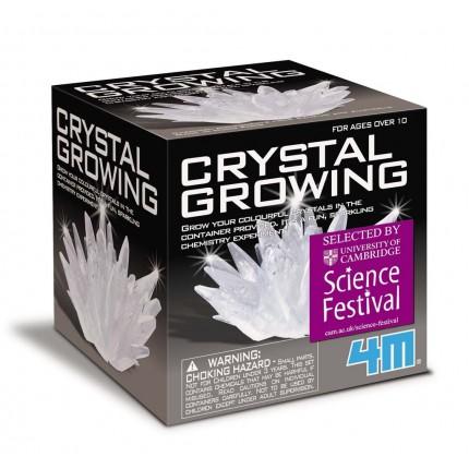 Crystal Growing Kit by 4M on Schoolbooks.ie