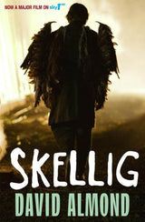 Skellig by Hodder & Stoughton on Schoolbooks.ie