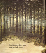 ■ A Dark Dark Tale by Andersen Press Ltd on Schoolbooks.ie