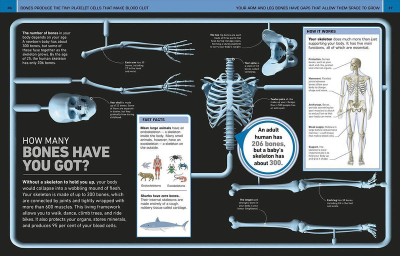 It Can't be True! Human Body! 1000 Amazing Facts About You by Dorling Kindersley Inc on Schoolbooks.ie