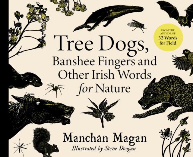 Tree Dogs, Banshee Fingers and Other Irish Words for Nature by Gill Books on Schoolbooks.ie