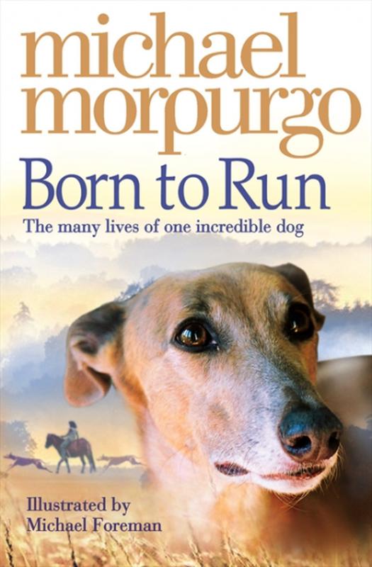 ■ Born to Run by HarperCollins Publishers on Schoolbooks.ie