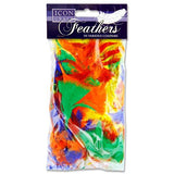 Icon Craft 18g Bag Feathers - Bold by Icon on Schoolbooks.ie