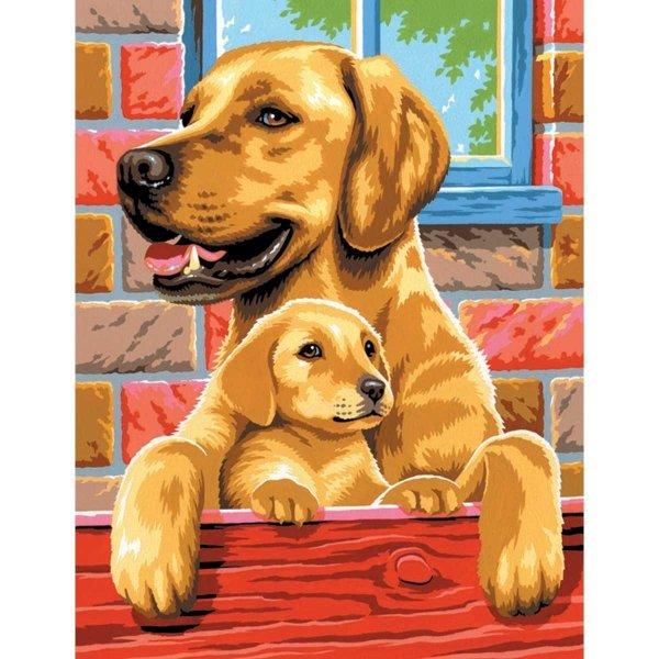 Dogs - Medium Paint By Numbers - Twin Pack by KSG on Schoolbooks.ie