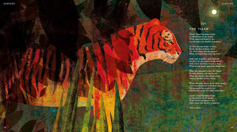 ■ Tiger, Tiger, Burning Bright! - An Animal Poem for Every Day of the Year - National Trust - Hardback by Nosy Crow Ltd on Schoolbooks.ie
