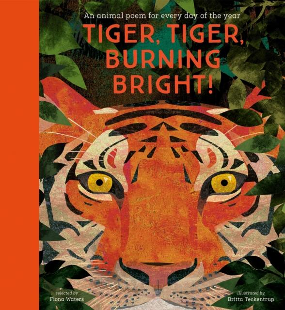 ■ Tiger, Tiger, Burning Bright! - An Animal Poem for Every Day of the Year - National Trust - Hardback by Nosy Crow Ltd on Schoolbooks.ie