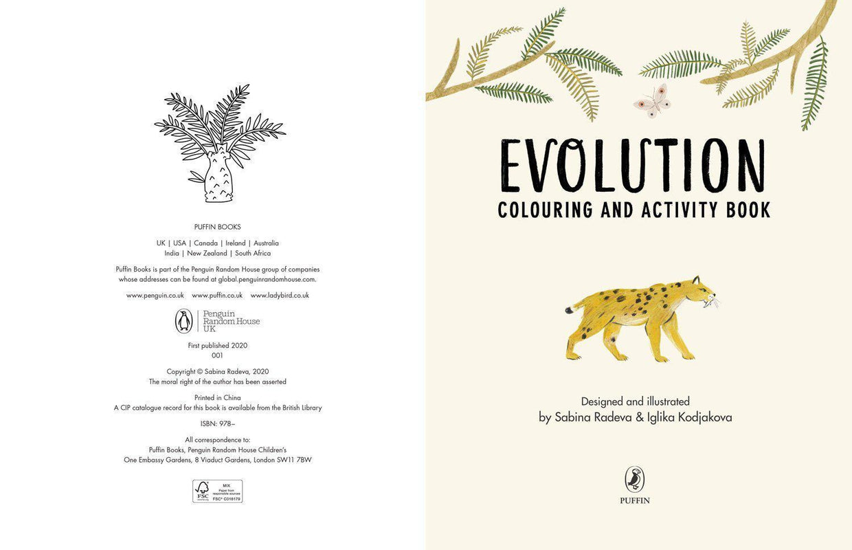 Evolution Colouring and Activity Book – Schoolbooks.ie