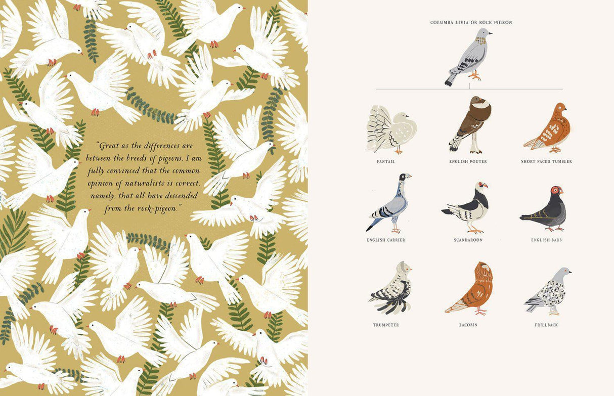 ■ On The Origin of Species by Penguin Books on Schoolbooks.ie