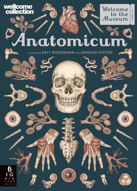 ■ Anatomicum by Templar Publishing on Schoolbooks.ie