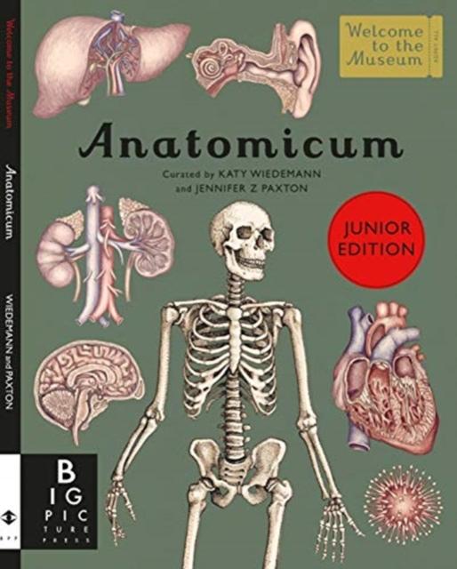 ■ Anatomicum Junior by Templar Publishing on Schoolbooks.ie