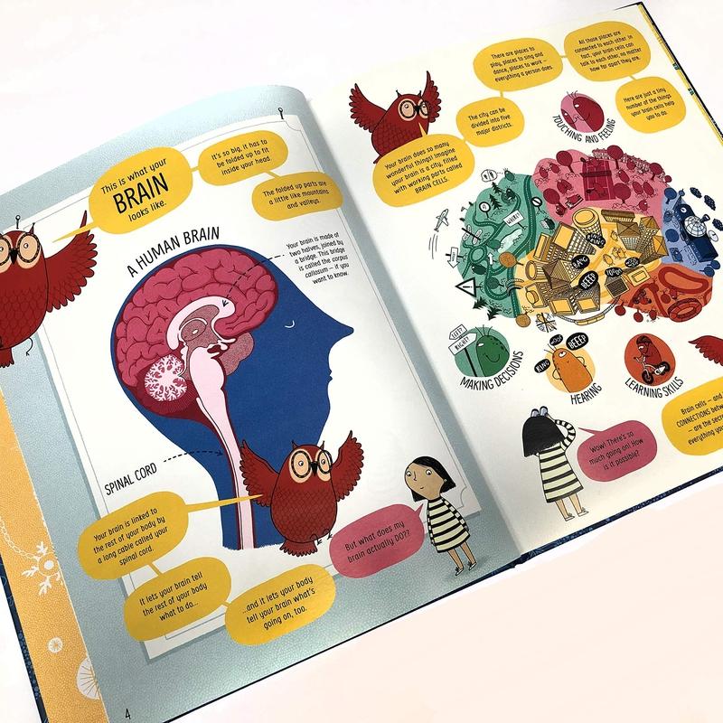 ■ Book of the Brain and How it Works by Usborne Publishing Ltd on Schoolbooks.ie