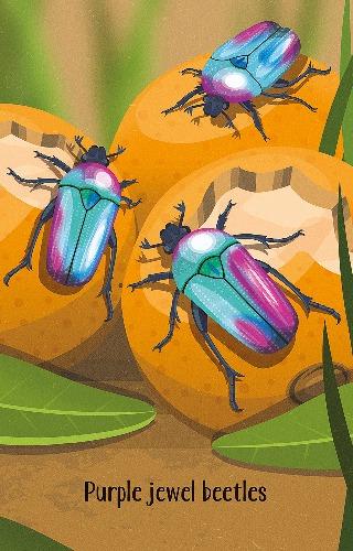 Bugs Snap by Usborne Publishing Ltd on Schoolbooks.ie
