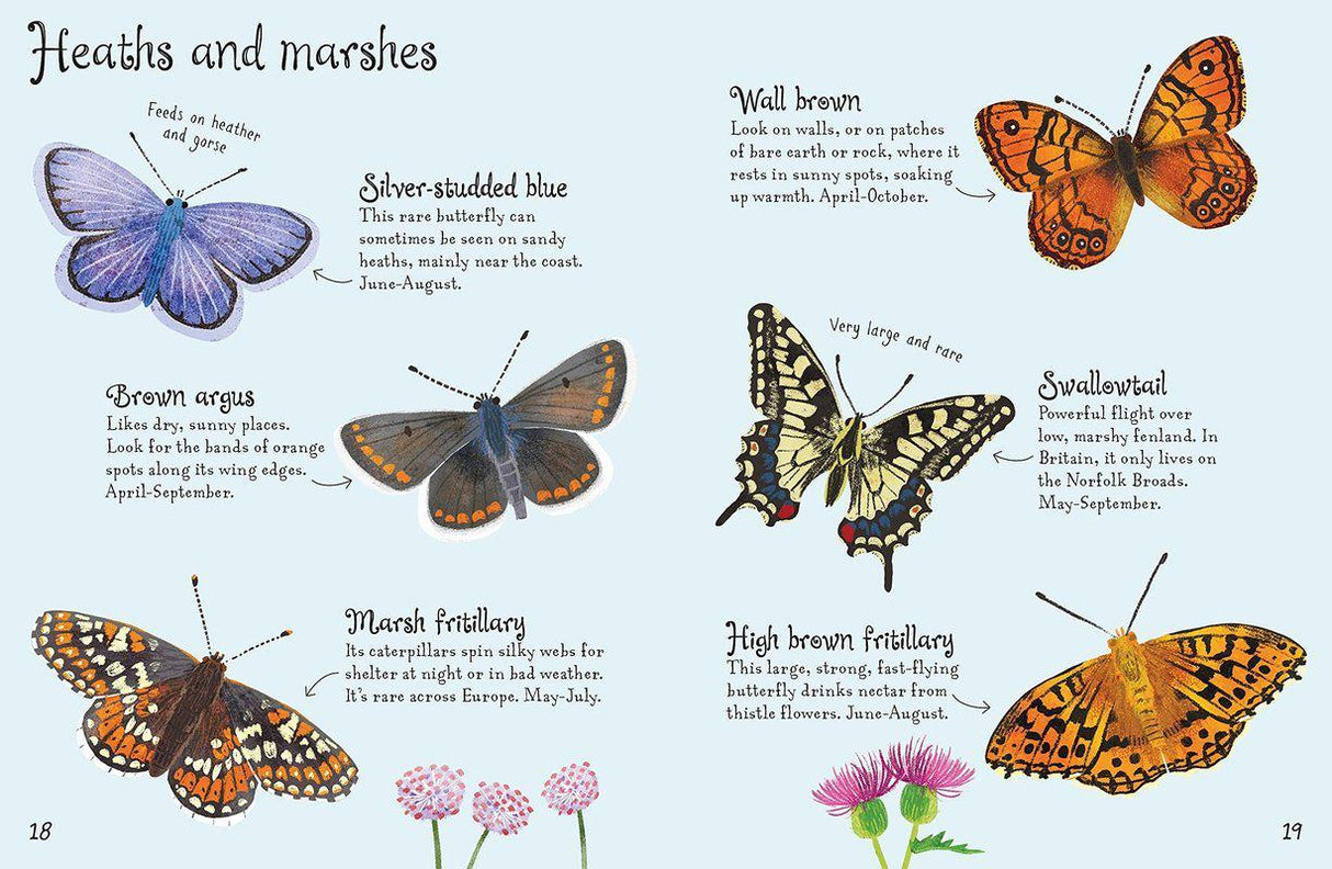 ■ Butterflies to Spot by Usborne Publishing Ltd on Schoolbooks.ie