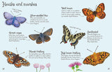 ■ Butterflies to Spot by Usborne Publishing Ltd on Schoolbooks.ie