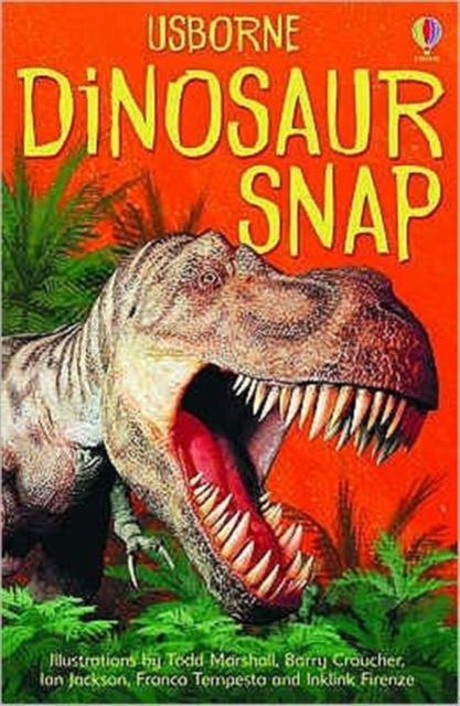 Dinosaur Snap by Usborne Publishing Ltd on Schoolbooks.ie
