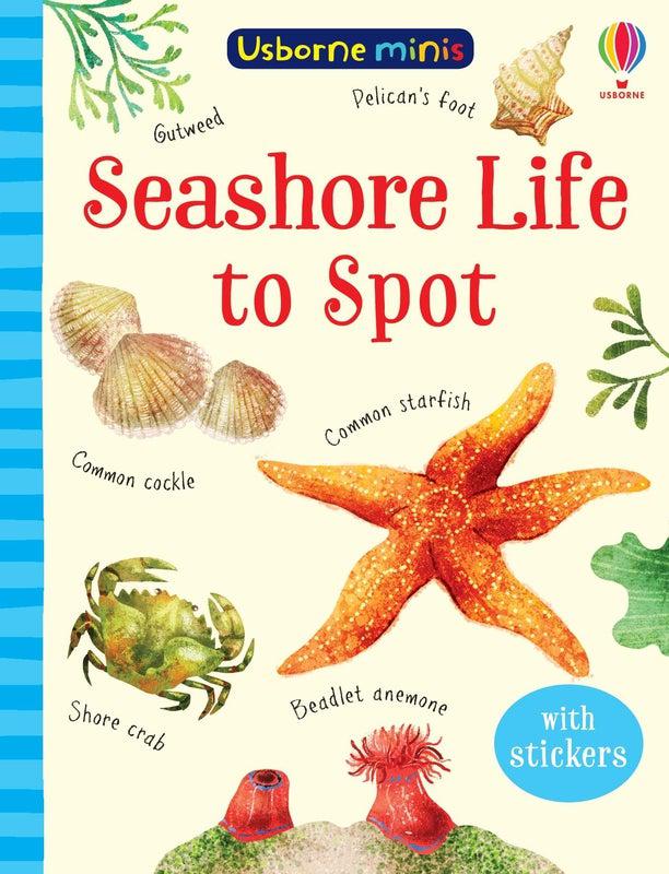 ■ Seashore Life to Spot by Usborne Publishing Ltd on Schoolbooks.ie