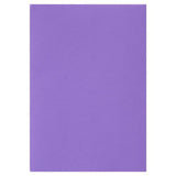 Crafty Bitz Pack of 20 A4 Foam Sheets by Crafty Bitz on Schoolbooks.ie